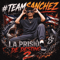 Teamsanchez GIF