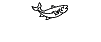 Salmon Fiske Sticker by SkittFiskeNO