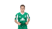 Johannes Eggestein Bundesliga Sticker by SV Werder Bremen