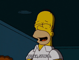 homer simpson todd flanders GIF