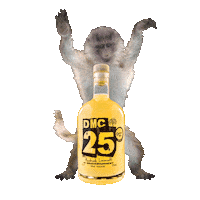 DMCLimoncello dance monkey lemon groningen Sticker