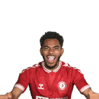 Celebrate Come On Sticker by Bristol City FC