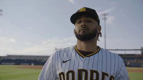 Major League Baseball GIF by MLB