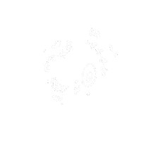 Life Circle Sticker
