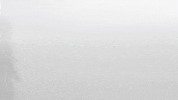 Huntington University GIF by FDN Sports