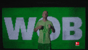 Vfl Wolfsburg Yes GIF by Bundesliga