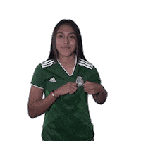 celebrate come on Sticker by MiSelecciónMX