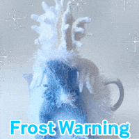 GIF by TeaCosyFolk