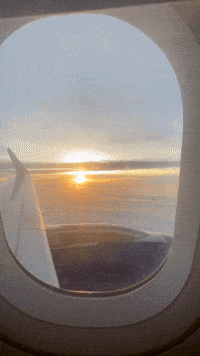 TOURCENTERDO travel plane airplane tour GIF