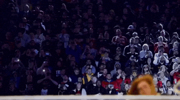 Ronda Rousey Wwe GIF