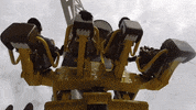 GIF by Ferrari World Abu Dhabi