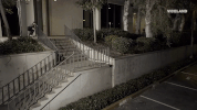 skateboarding GIF by KING OF THE ROAD