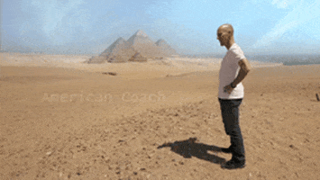 GIF by PBS