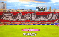 Morocco Winners GIF