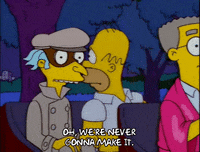 homer simpson episode 20 GIF