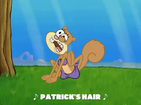 season 7 GIF by SpongeBob SquarePants