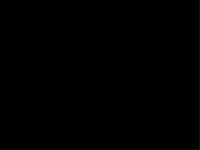 New Year Новый Год GIF