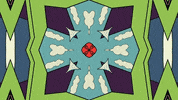Kaleidoscope GIF by Polyvinyl Records