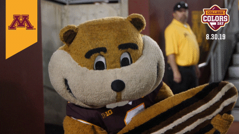 College Sports Minnesota GIF by College Colors Day