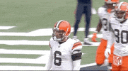 Cleveland Browns Football GIF by NFL