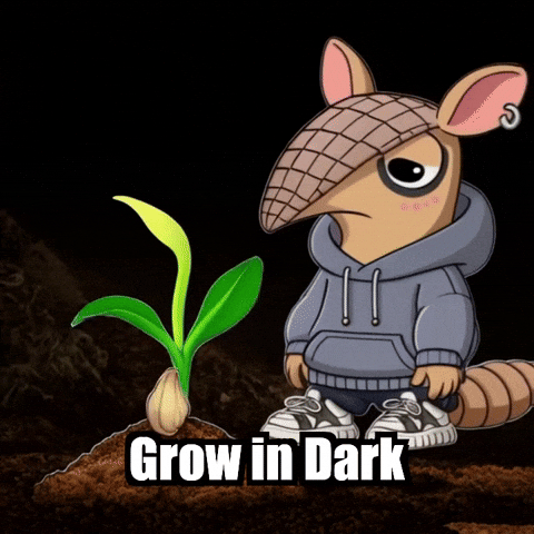 GIF by Chillo Dillo