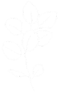 Beauty Rose Sticker