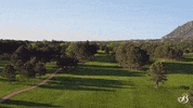 Colorado Springs Travel GIF by The Broadmoor