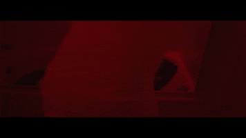death wanna die GIF by L.I.F.T