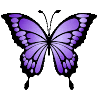Purple Butterfly Sticker by Bel Diniz