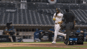 Celebrate San Diego GIF by Jomboy Media