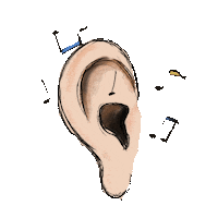Musica Sound Sticker