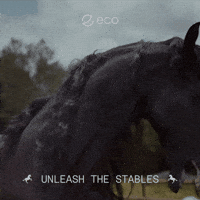 To The Moon Crypto GIF by Eco