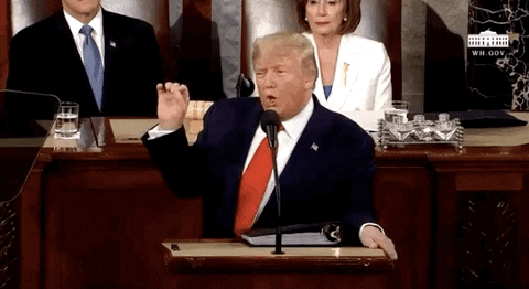 Donald Trump GIF by GIPHY News
