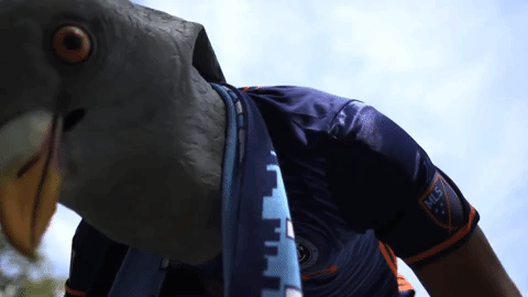 GIF by NYCFC