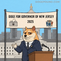 New Jersey Wow GIF by Doge Pound