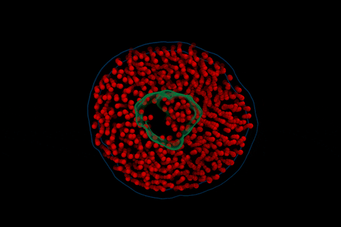 timurnasibulin giphyupload GIF