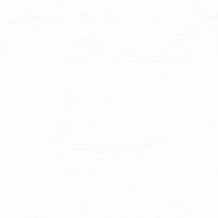 Cat Wtf GIF by sillynub