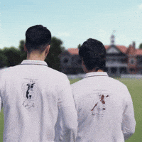 Indian Premier League Cricket GIF by PeterEnglandIndia