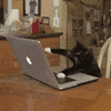 GIF by VakantieVeilingen