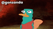 gonzandabri1 perry flashback gonzanda perry flashback GIF