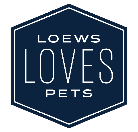 Cat Love Sticker by Loews Hotels