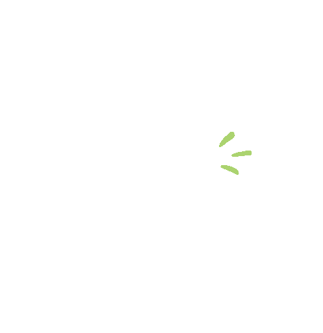 fashion greek Sticker by Tricoci  University