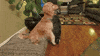 friend thanks GIF