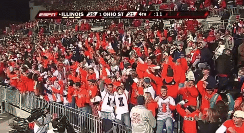 RabidDawgClassic horseshoe ohio stadium illini fans iilinois fans GIF