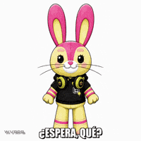 Gnar Espera GIF by WVRPS
