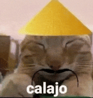 Luis5Spsplit GIF