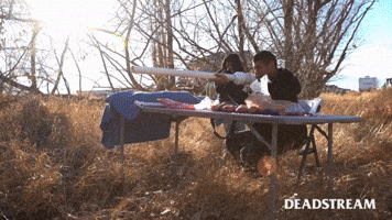 Blue Jays Friends GIF by Deadstream