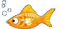 goldfish STICKER