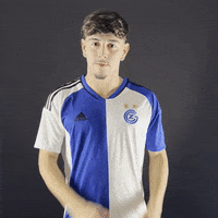 Football Sport GIF by GCZ