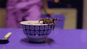 Eat Matthew Mole GIF by Universal Music Africa